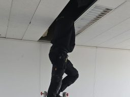 Extra projectbeeld Binckhorstlaan 123