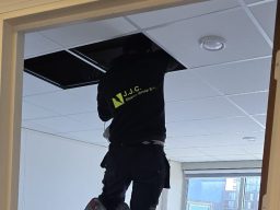 Extra projectbeeld Binckhorstlaan 123